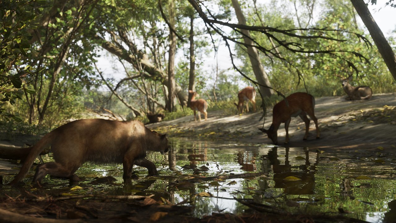 [07/05/2025] Mount Kalaga National Park 05