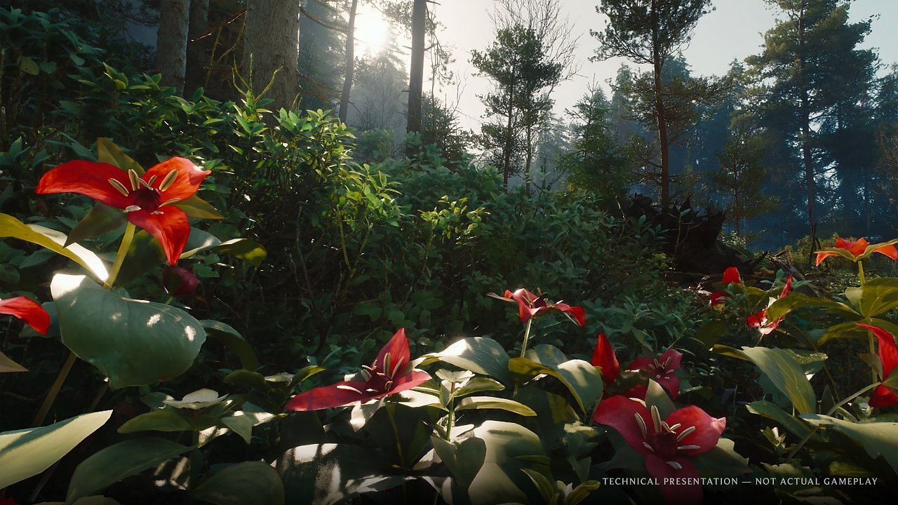 [03/06/2025] Nanite Foliage mit neuer Ausbaustufe: In der Techdemo von The Witcher 4 kommt Nanite Foliage zum Einsatz. Die Vegetation besteht komplett aus 3D-Modellen, Polygonen, welche dank Nanite stufenlos im Detail angepasst werden können.Bei der Erfassung der Nanite Foliage für das Lumen-Raytracing kamen bislang simplifizierte Platzhalter zum Einsatz, um den Raycount nicht explodieren zu lassen. Die Techdemo von The Witcher 4 setzt dagegen auf Voxel als Beschleunigungsstruktur, um auch feine Details, einzelne Blätter, Nadeln, Grashalme zu erfassen.Dank Voxelbasis kann außerdem der volumetrische Nebel in die Berechnung einbezogen werden, die Färbung der Vegetation auf den volumetrischen Dunst übertragen werden. Stimmungsvoll!