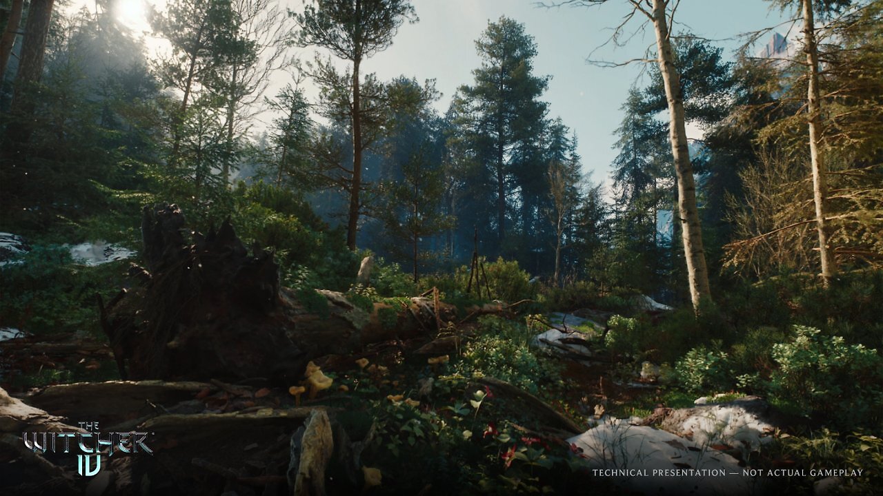 [03/06/2025] The Witcher 4 Unreal Engine 5 Tech-Demo (2) (2)
