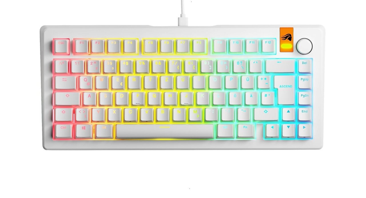 [11/07/2025] Gaming-Tastatur: 75 Prozent (83 Tasten): Die Glorious GMMK3 HE ist eine 75-Prozent-Tastatur: wie TKL ohne Nummernblock. Der Mittelblock bleibt teils erhalten – reduziert auf Pfeiltasten plus fünf wichtige Funktionen (Druck, Entf, Bild ↑/↓, Ende). Über den vier übereinander angeordneten Mittelblocktasten sitzt sogar ein Lautstärkeregler. F-Reihe und Mittelblock sind klar vom Hauptfeld abgesetzt – ideal für Blindschreiber.&nbsp;