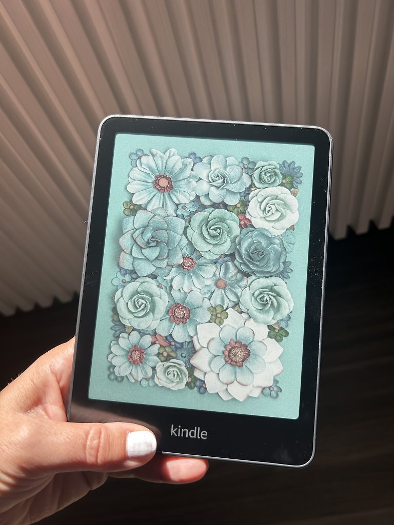 [26/08/2025] Die große E-Book-Reader-Kaufberatung - neu mit Test zum Kindle Colorsoft (2)