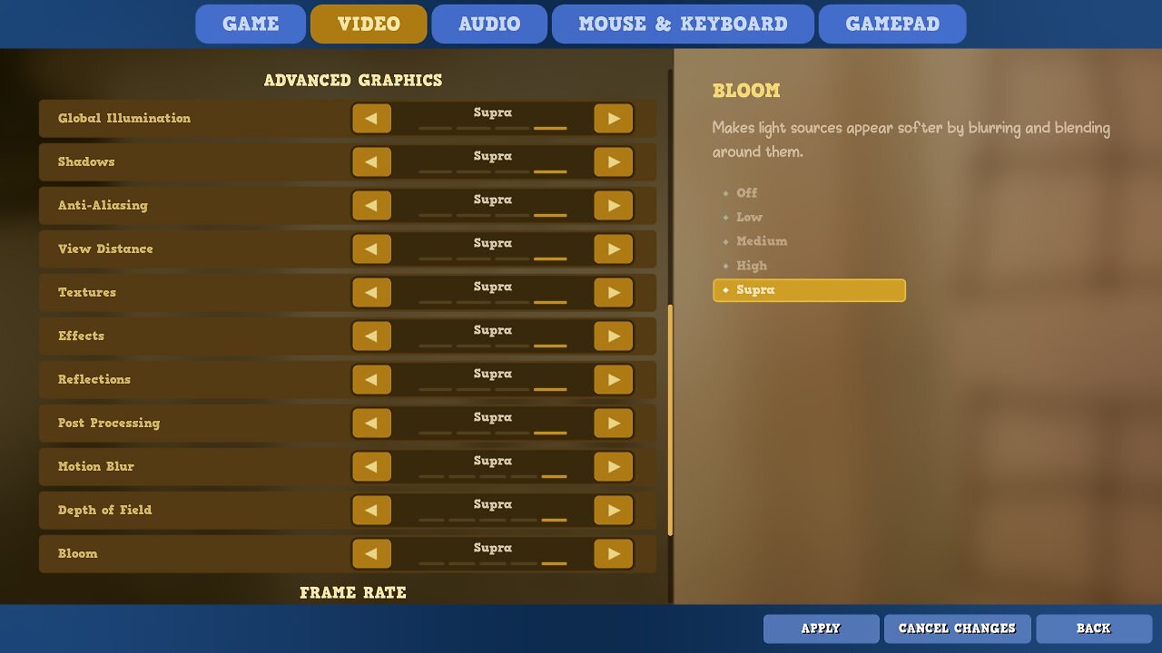 Supraworld Early Access: Grafikoptionen 3