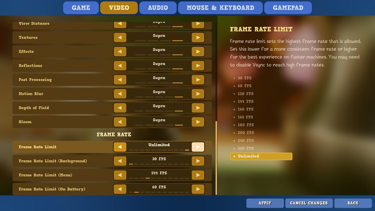 Supraworld Early Access: Grafikoptionen 4