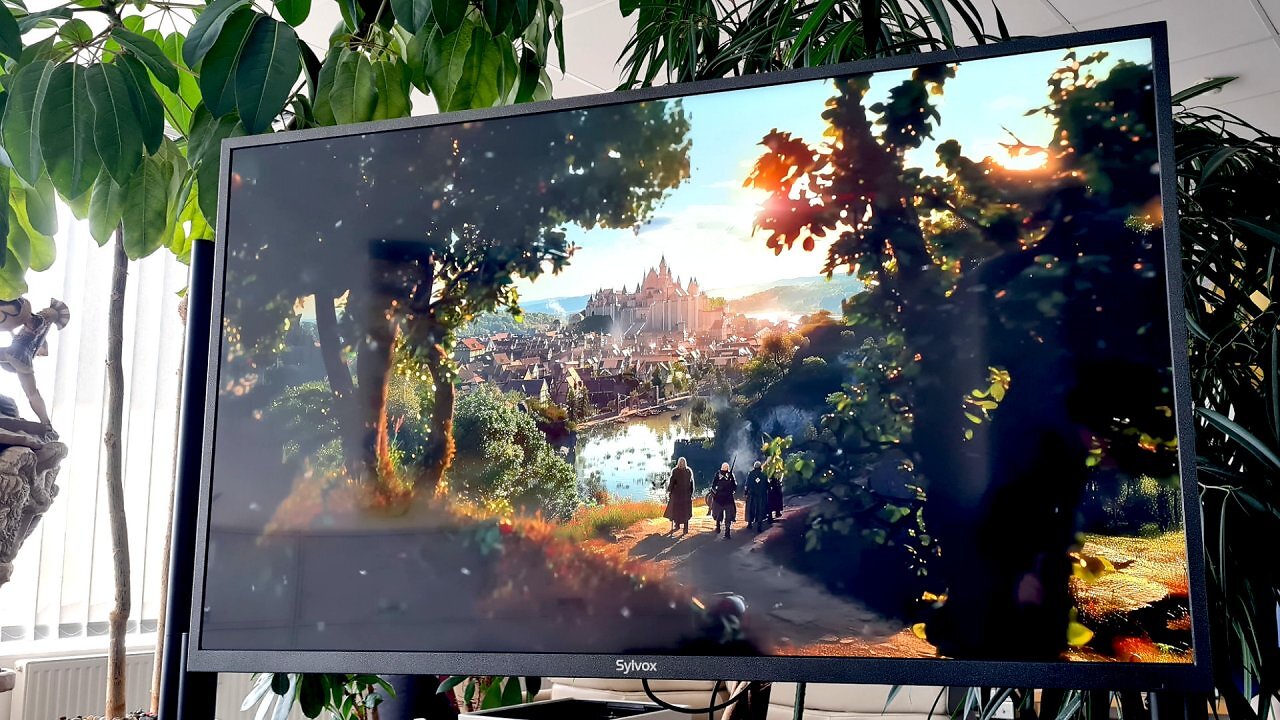 Ein Fernseher vor einigen Pflanzen