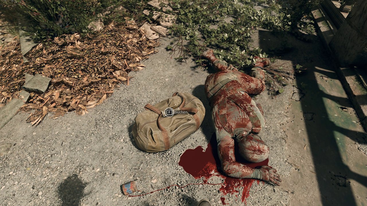 [16/09/2025] Dying Light: The Beast (28)