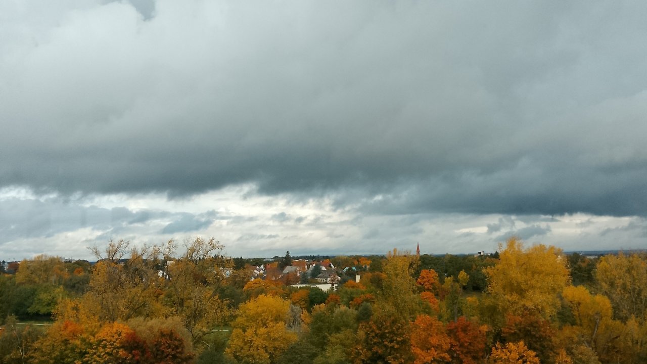 Herbstliche Baumwipfel unter einem bewölkten Himmel.