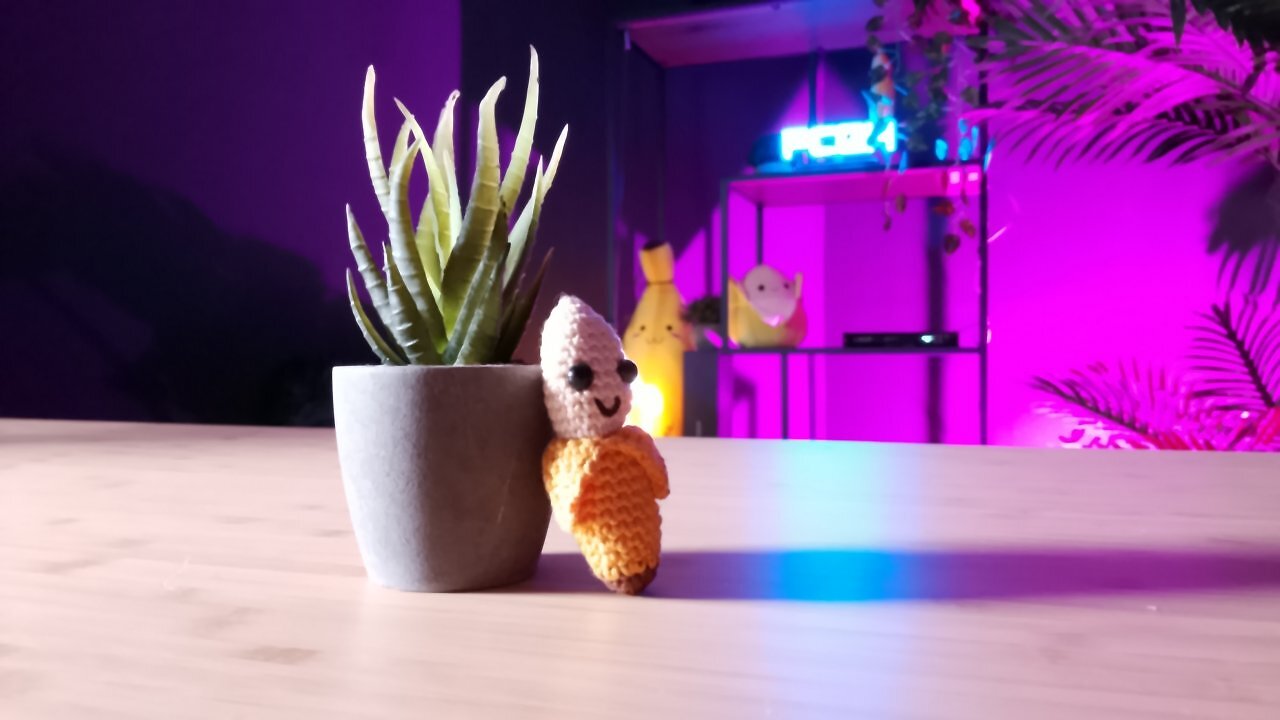 Eine kleine Pflanze und eine Stoffbanane auf einem Holztisch.