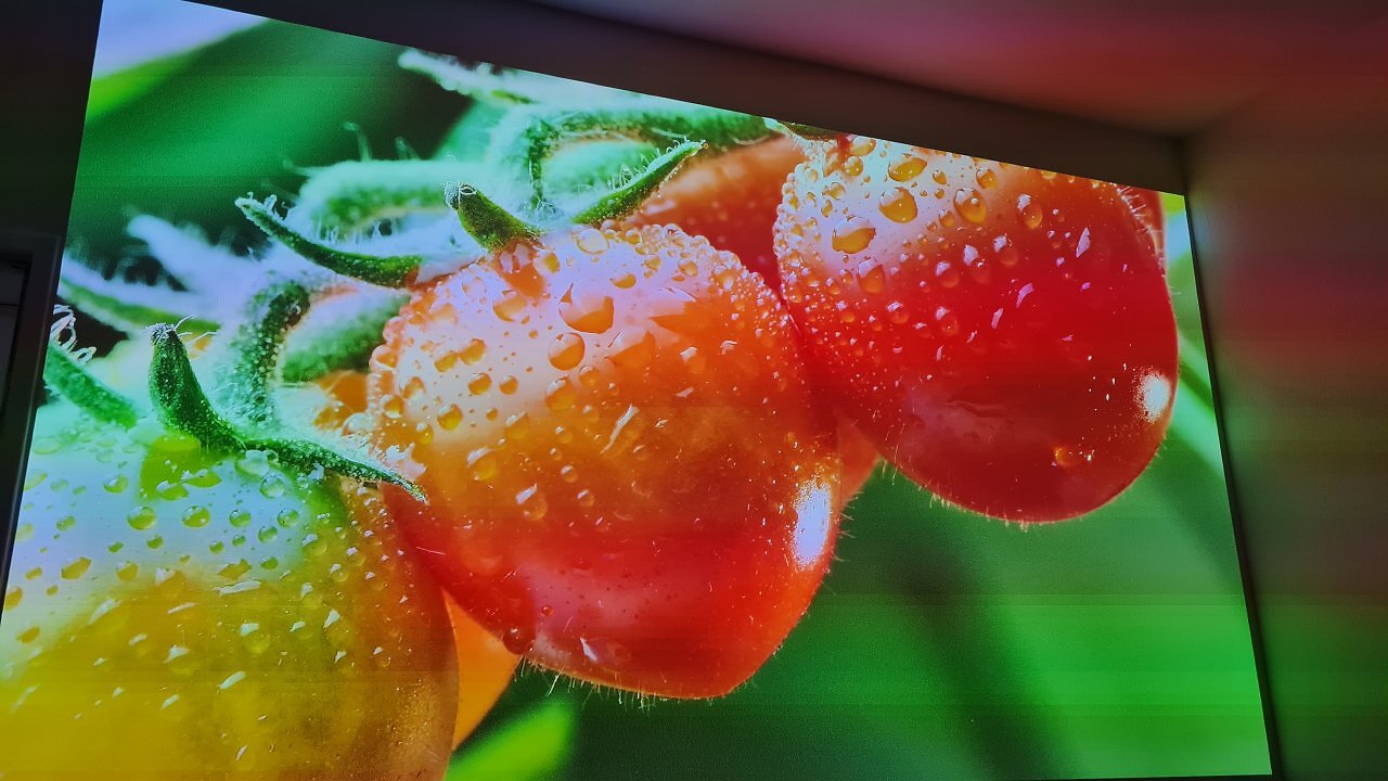 Beamerprojektion an der Wand, die Tomaten zeigt
