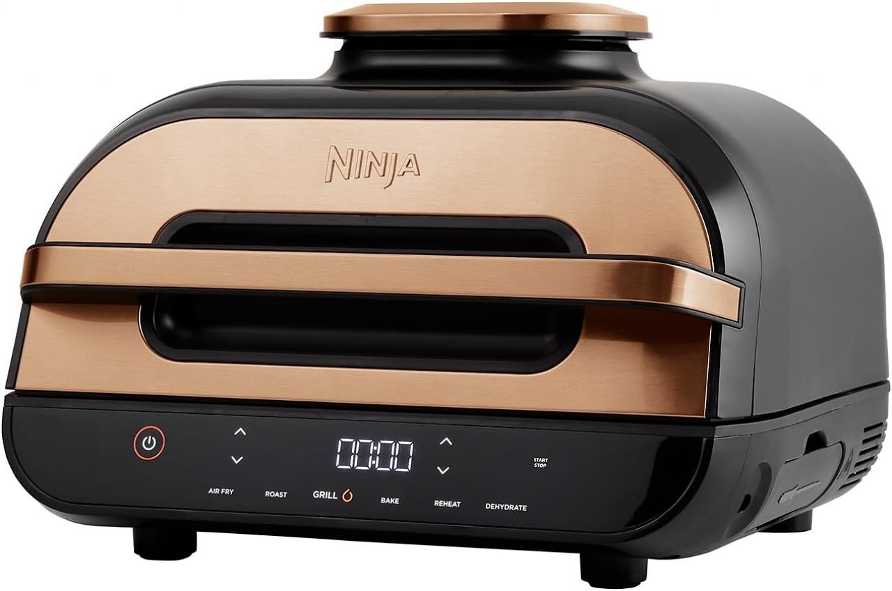 [03/12/2025] Manche Modelle, wie dieses von Ninja, sind Grill und Fritteuse in einem.