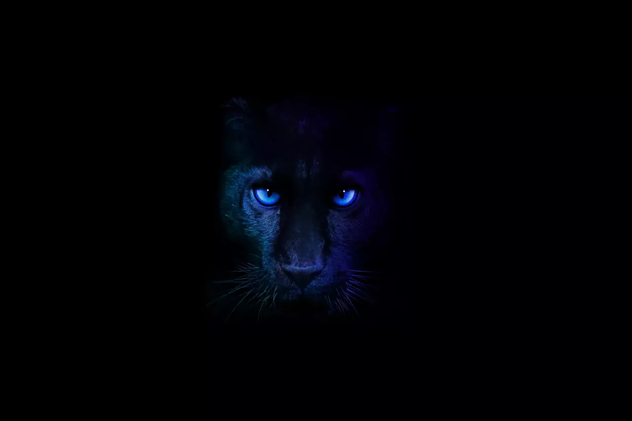 [06/01/2026] Intel Panther Lake (3)