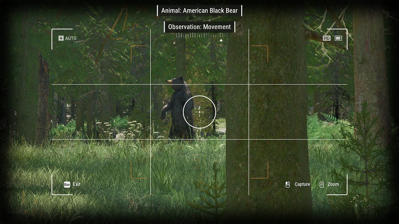 [16/01/2026] Bald auf Steam: Nationalpark-Simulator von deutschem Publisher (2)