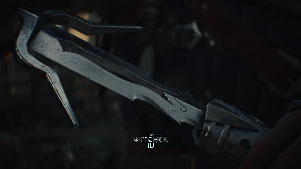 [28/02/2026] The Witcher 4 (2)