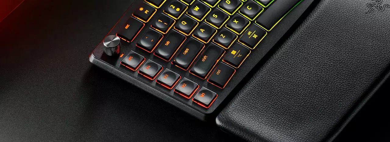 [31/03/2026] Razer Pro Type Ergo (1)