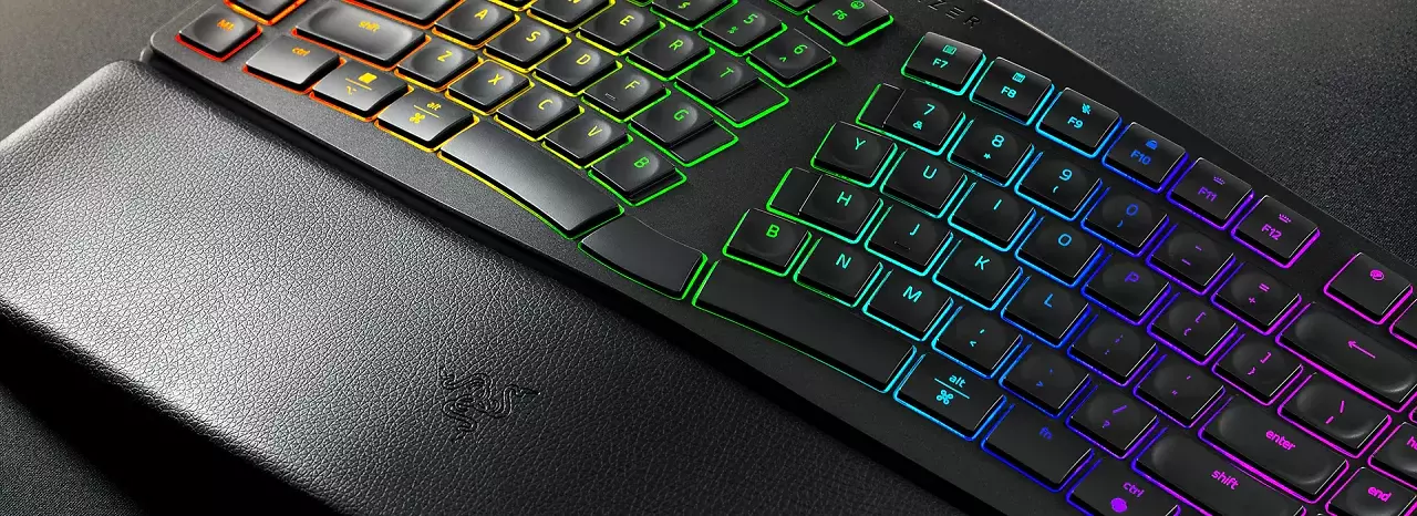 [31/03/2026] Razer Pro Type Ergo