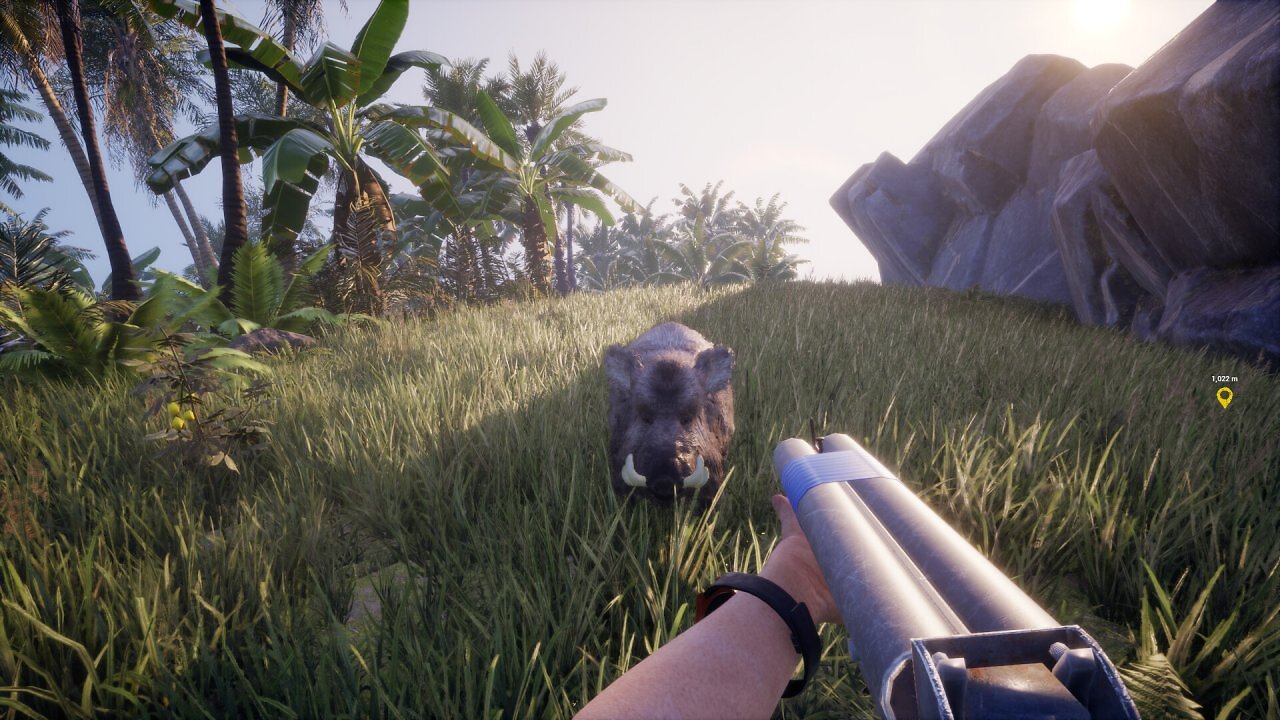 [04/05/2026] Stranded Deep trifft Green Hell: Neues Survival-Spiel Away From Life startet auf Steam (13)