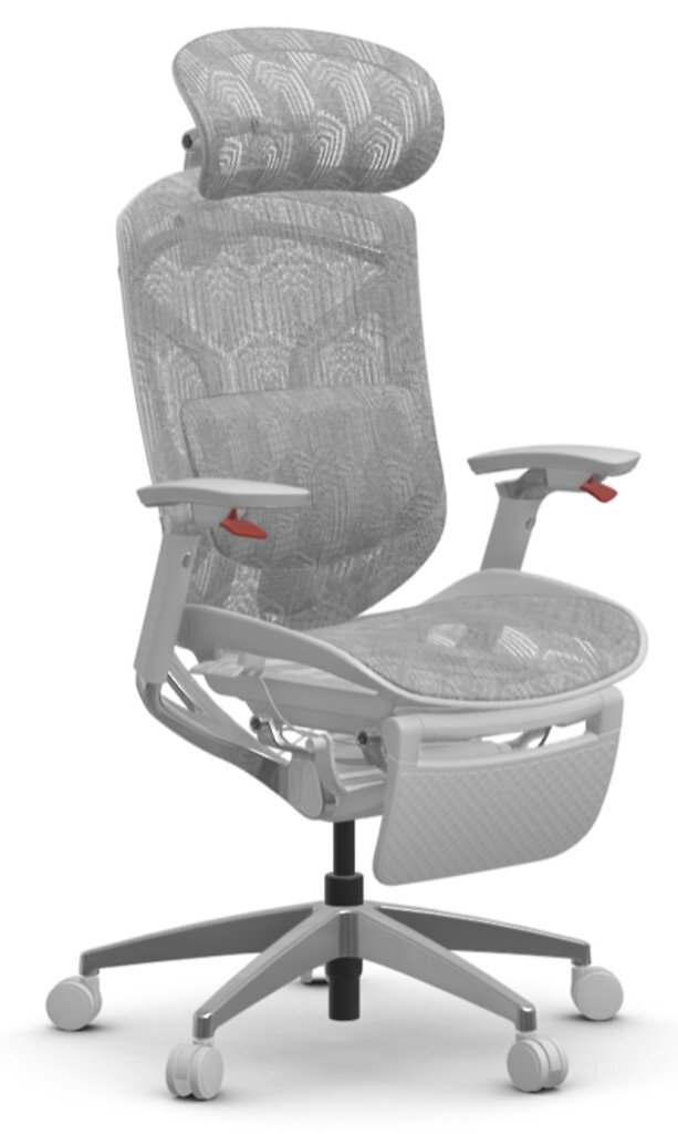 [25/06/2026] Flexispot Apollo (1.000 Euro, Test auf pcgh.de, Wertung: 5 Sterne)