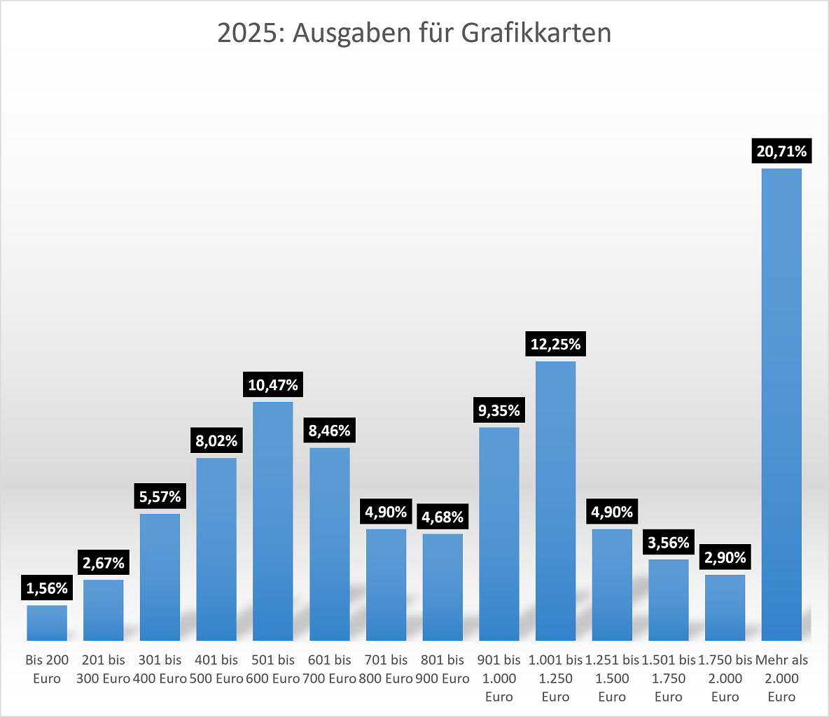 2025: Ausgaben für Grafikkarten