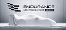 Endurance Motorsport Series (PC)