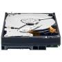 Screenshot zu Western Digital - 2008/06/WD_CaviarBlack_02.jpg