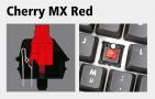 Screenshot zu Tastaturen - 2012/10/05_Cherry_MX_Red.jpg