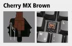 Screenshot zu Tastaturen - 2012/10/07_Cherry_MX_Brown.jpg