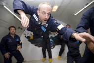 Artikel Vorschau Bild