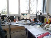 Artikel Vorschau Bild
