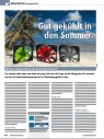 Artikel Vorschau Bild