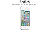 Artikel Vorschau Bild
