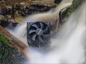 Artikel Vorschau Bild