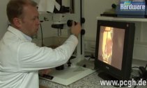 Artikel Vorschau Bild