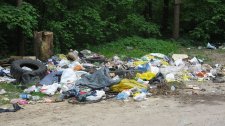 Artikel Vorschau Bild
