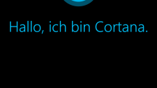Artikel Vorschau Bild