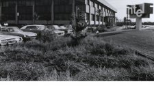Artikel Vorschau Bild