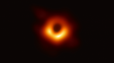 Artikel Vorschau Bild
