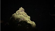 Artikel Vorschau Bild