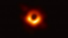 Artikel Vorschau Bild