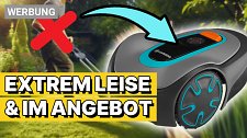 Artikel Vorschau Bild