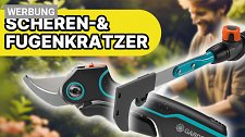 Artikel Vorschau Bild