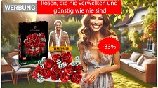 Artikel Vorschau Bild