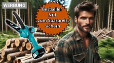 Artikel Vorschau Bild