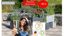 Artikel Vorschau Bild