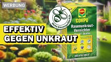 Artikel Vorschau Bild