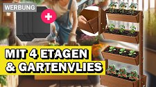 Artikel Vorschau Bild