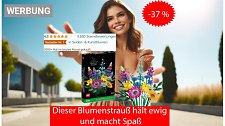 Artikel Vorschau Bild
