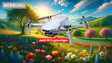 Artikel Vorschau Bild