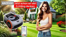 Artikel Vorschau Bild