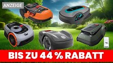 Artikel Vorschau Bild