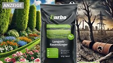 Artikel Vorschau Bild