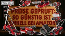 Artikel Vorschau Bild